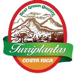 Turriplantas-plantas-ornamentales 01_Logo